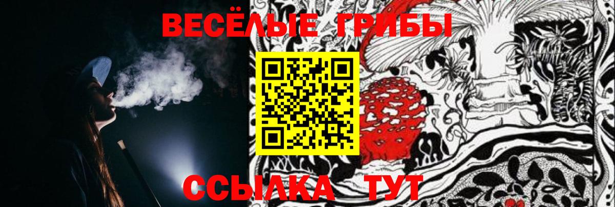 Рославль  Псилоцибиновые грибы MAGIC MUSHROOMS  Вход с VPN 